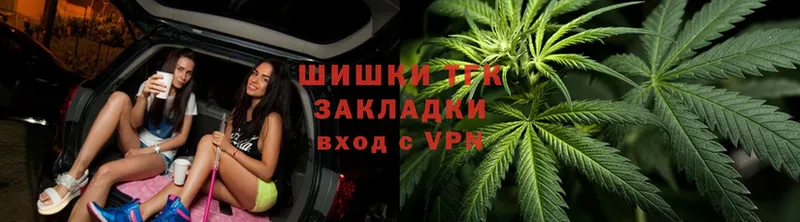 закладка  Киржач  Конопля OG Kush 